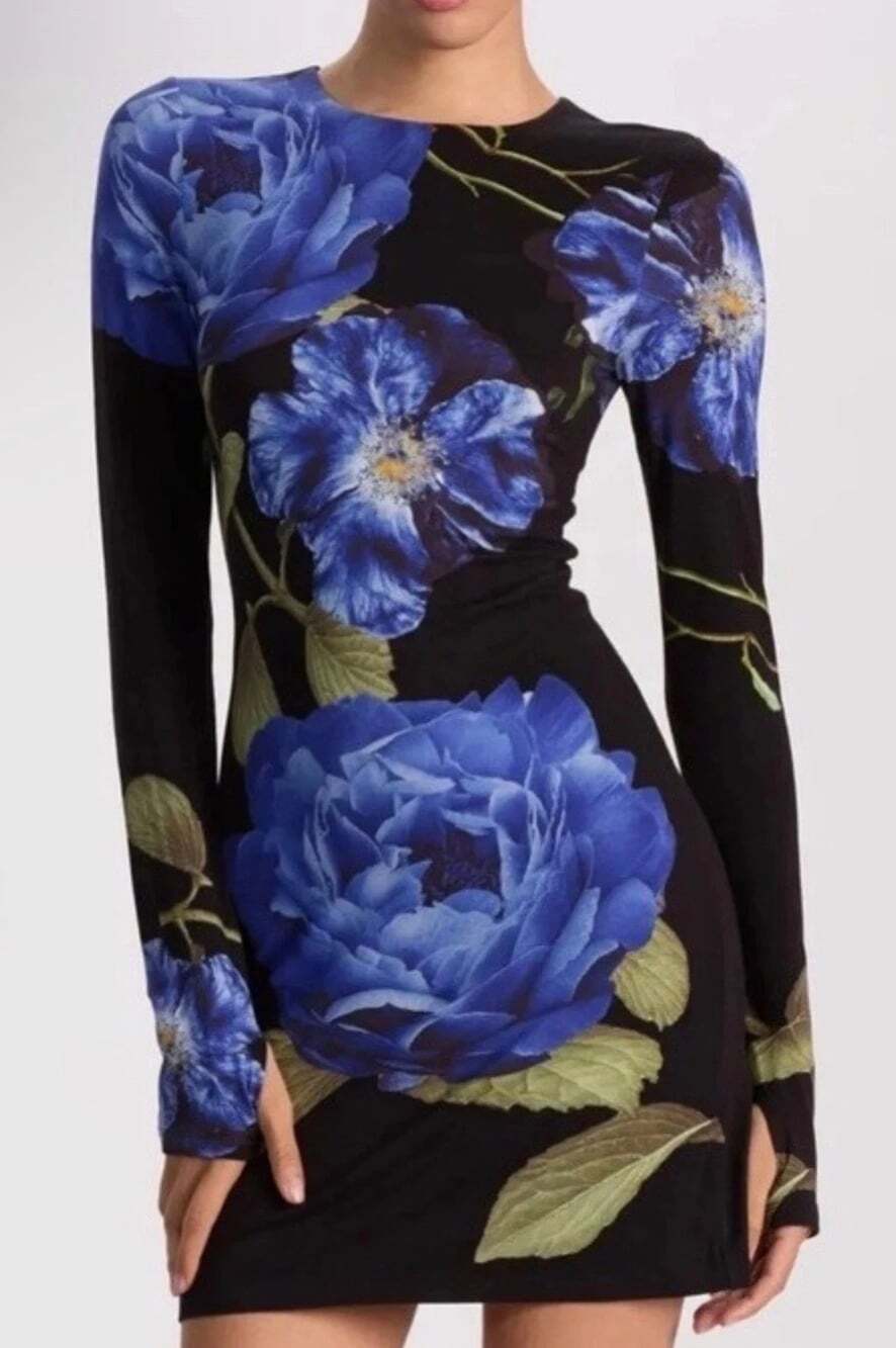 Alice + Olivia Delaina Lost Love Mini Dress 6 NWT